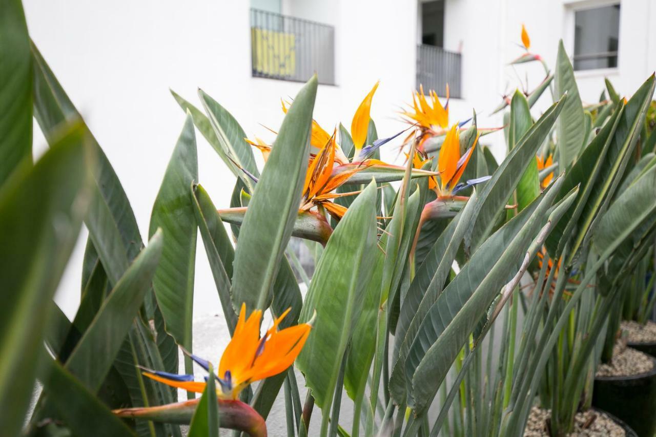Lisbon Downtown Apartment Free Parking ภายนอก รูปภาพ